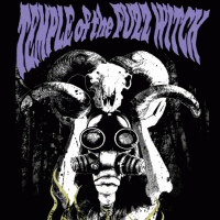 Temple Of The Fuzz Witch : Cherenkov Light